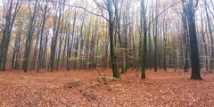 20171020_125359.jpg