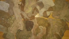 20180307_144546.jpg