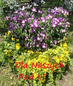 Z okazji dnia kobiet.