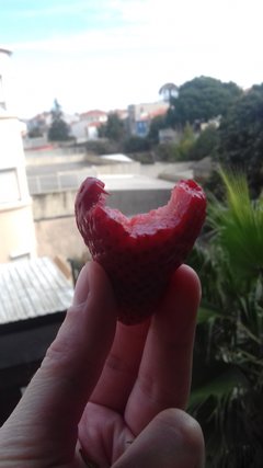 20180307_100736.jpg