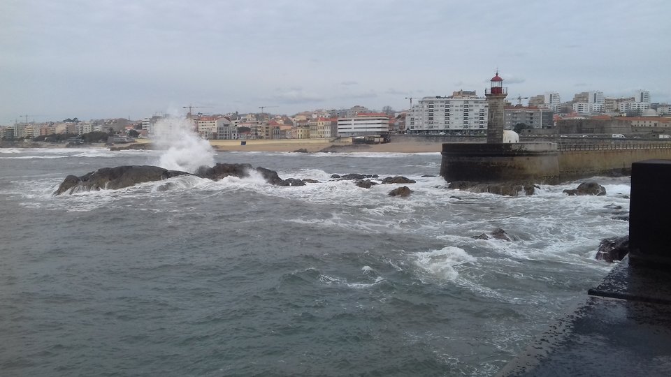 20180307_133254.jpg - Nexxuss