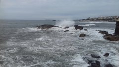 20180307_134100.jpg