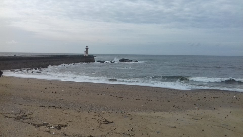 20180307_131325.jpg - Nexxuss