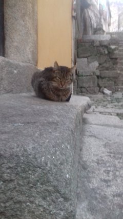 20180307_180344.jpg
