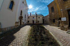 Wiosennie