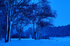 hiver.jpg