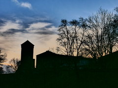P1010119.JPG