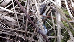 20180312_140811.jpg