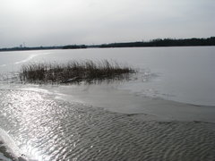 IMG_0040.JPG