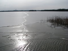 IMG_0043.JPG