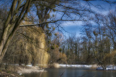 bb_DSC4043.jpeg