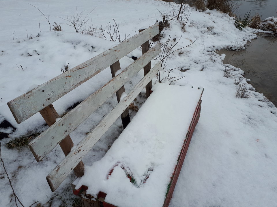 Wiosna za pasem a na Ławeczce zima w pełni. - pyszczek38