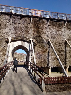 IMG_20180317_150252.jpg