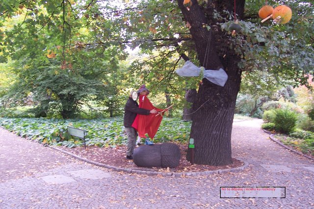 wyzwolony2010
