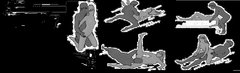 1 kamasutra.jpg
