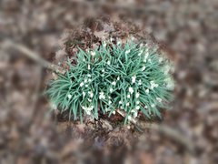IMG_20180322_171939.jpg