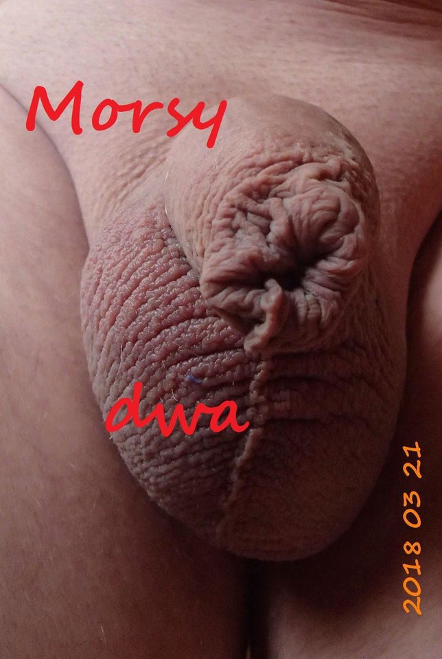 Wiosenny - Morsy_dwa