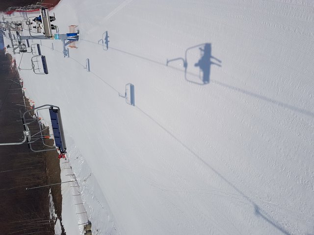 stihlms230