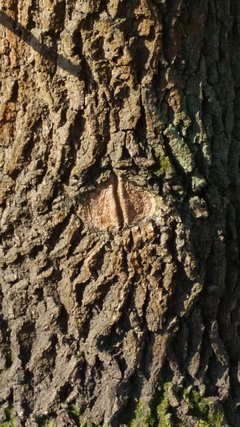 20180325_115656.jpg