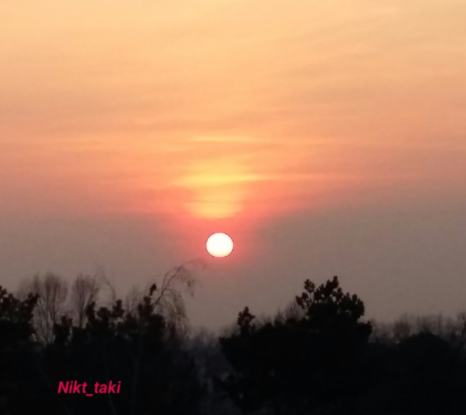 Widok - Nikt_taki