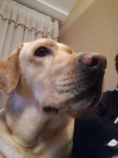IMG_20180116_181206.jpg