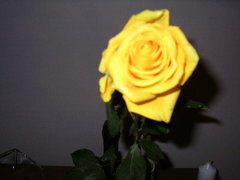 PICT0351.JPG