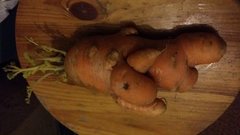 20180402_200222.jpg