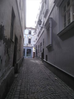 DSC_0203.JPG
