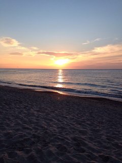 AF71B43A-CBF2-42F6-BC6C-B69DFBB5C25F.jpeg