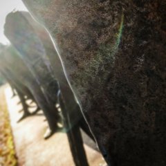 02E0D6D7-61F5-4E07-AD6D-ABCA2F9574E0.jpeg