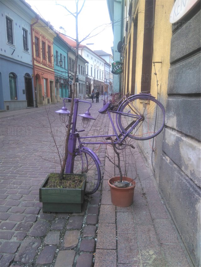 Piter53