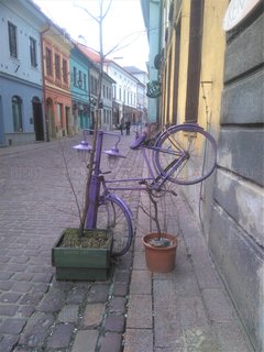 DSC_0197.JPG
