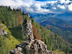 IMG_20180311_080416.jpg