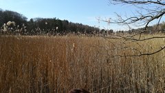 IMG_20180407_145016.jpg