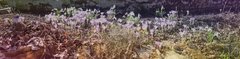 20180408_103959.jpg