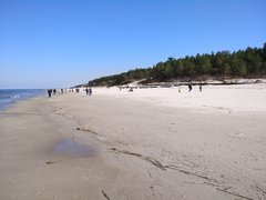 IMG_20180408_143950.jpg