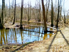 IMG_20180409_152128_107.jpg