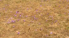 IMG_20180409_143101.jpg