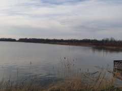 20180410_175432.jpg
