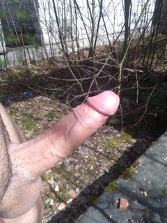 IMG_20180411_124334.jpg