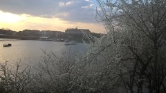 WP_20180412_17_57_21_Pro_LI.jpg
