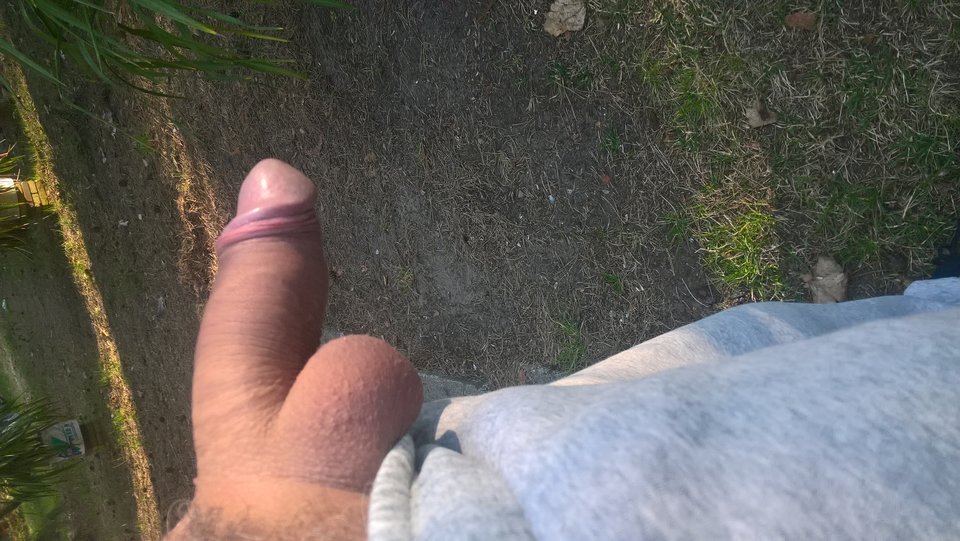 WP_20180414_07_58_00_Pro.jpg - Bisexslave