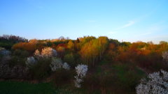 DJI_0744.JPG