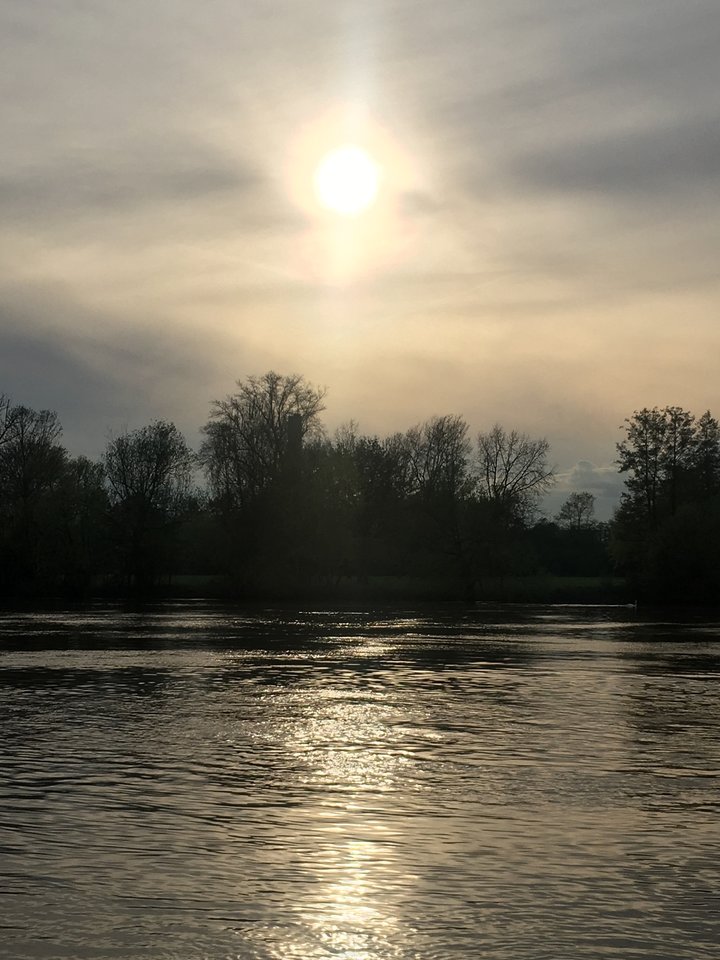 F1C123D5-CA44-4E97-9AB1-853659EB7F14.jpeg - pawelsolt