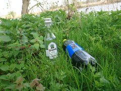 DSC_0744.JPG