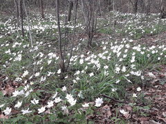 20180415_162959.jpg
