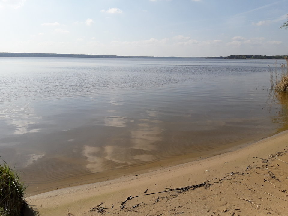 20180418_102759.jpg - chris19771977