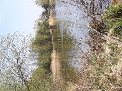 20180418_102725.jpg
