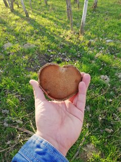 IMG_20180418_181257.jpg