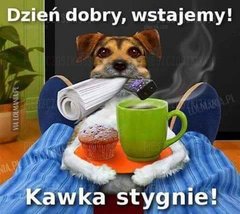 ZDJ 6.jpg